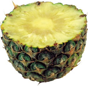 Half pineapple PNG image-2751